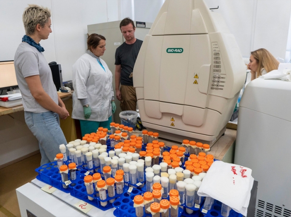 На спутнике «Бион-М»№2 вернулись живыми 65 из 75 мышей