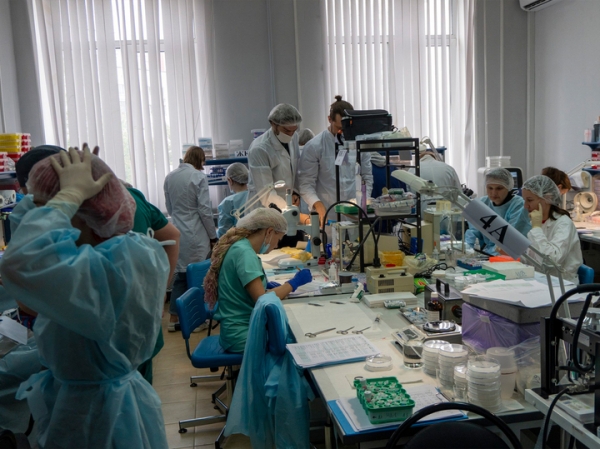 На спутнике «Бион-М»№2 вернулись живыми 65 из 75 мышей