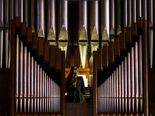 По ту сторону органных труб