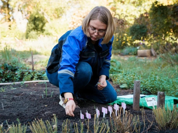 В Самарском ботсаду биологи высадили семена, побывавшие в космосе