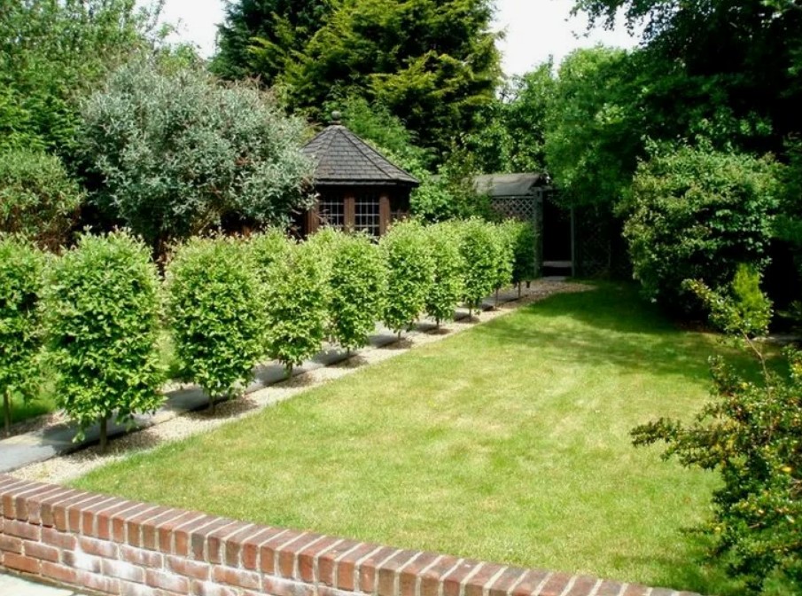 Удобрения по листу как эффективный способ повышения урожайности